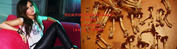 прущая мука Приозерск
