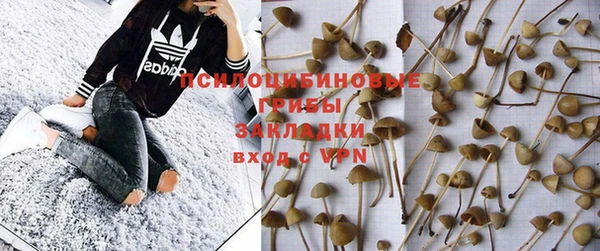 эйфоретик Магас