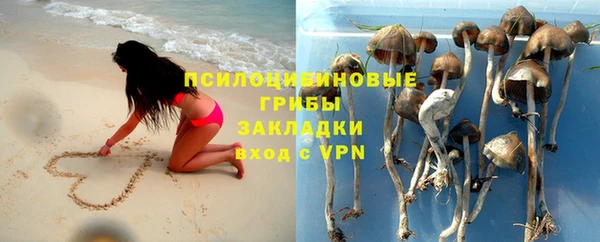 Альфа ПВП Пролетарск